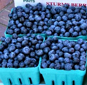 1 Pint As Purchased, Yields Blueberries