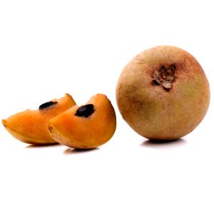 1 Sapodilla Sapodilla