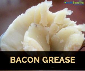 1 Tsp. (4.3 G) Bacon Grease