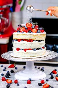 1 Tube (10 Dia, 4-3/8 High) Angel Food Cake with Fruit and Icing or Filling