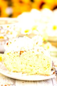 100 G Coconut Creme Pie (Mix, No-Bake Type)
