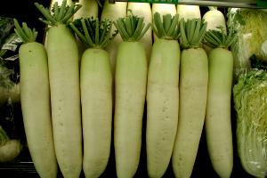 100 G Cooked Japanese Radish (Daikon) (Fat Not Added in Cooking)