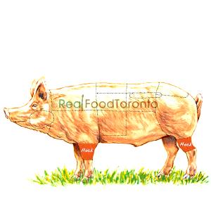 100 G Pig